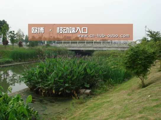 案例展示四(图1)