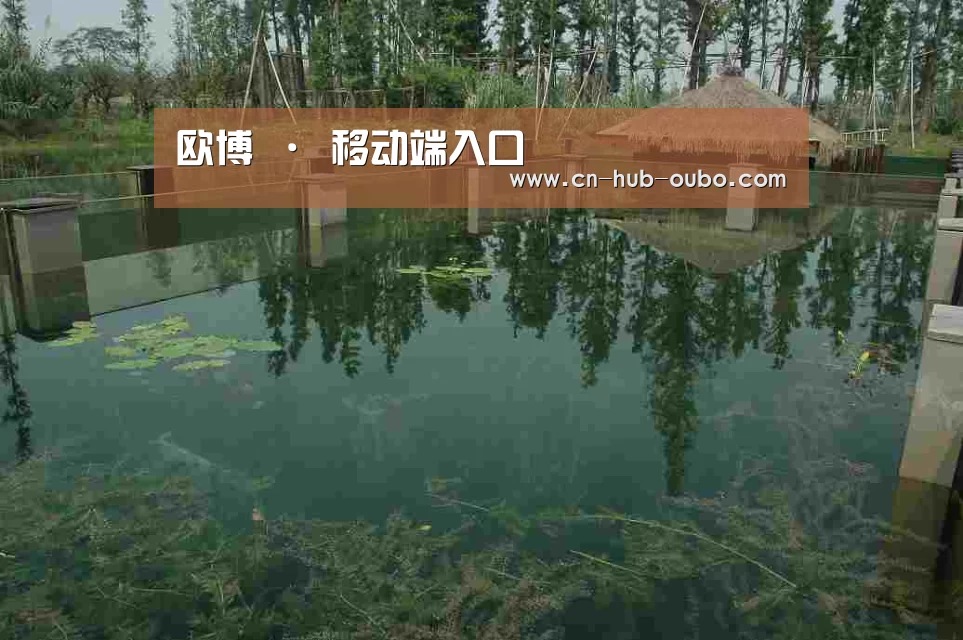 案例展示二(图1)