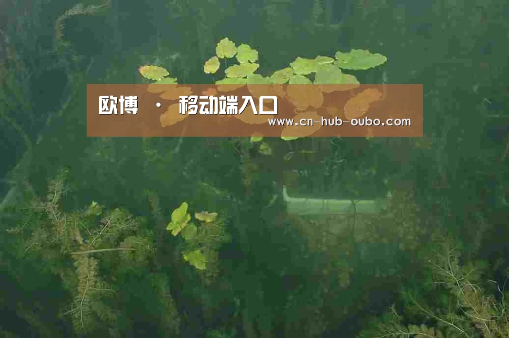案例展示三(图1)
