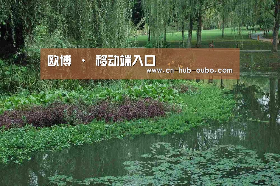 案例展示一(图1)