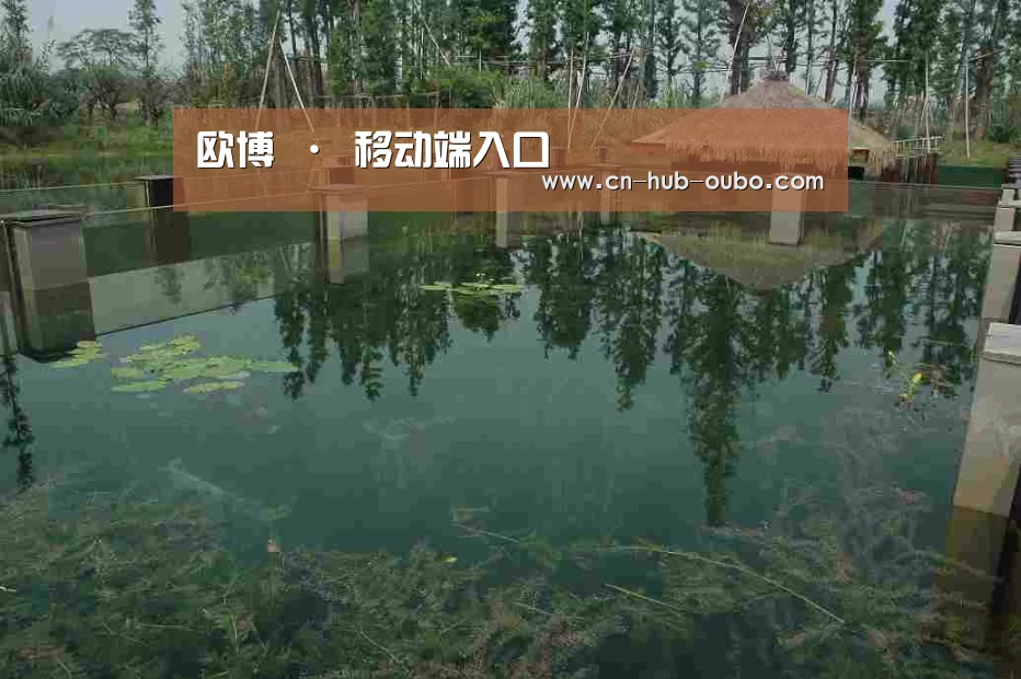 案例展示二
