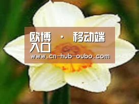 产品名称四