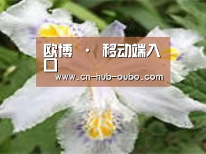 产品名称二