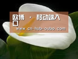 产品名称七