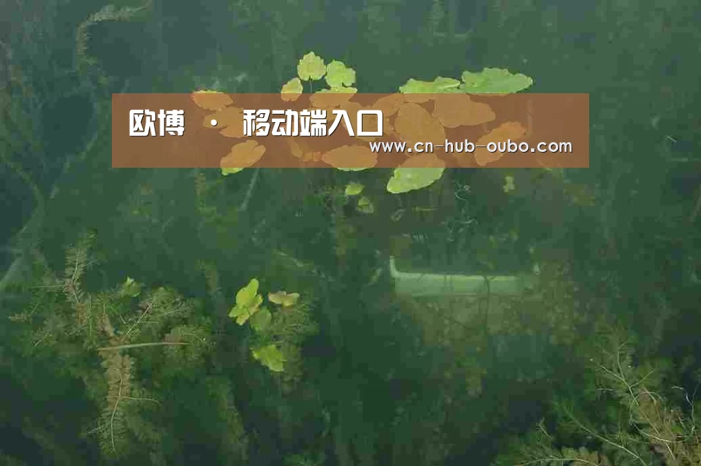 案例展示三