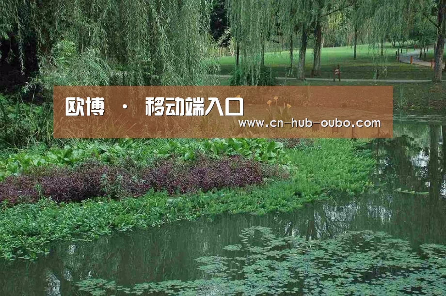 案例展示一