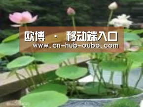 产品名称一