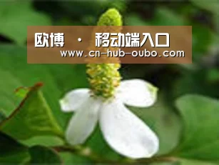 产品名称三