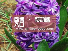 产品名称八