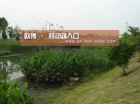 案例展示四