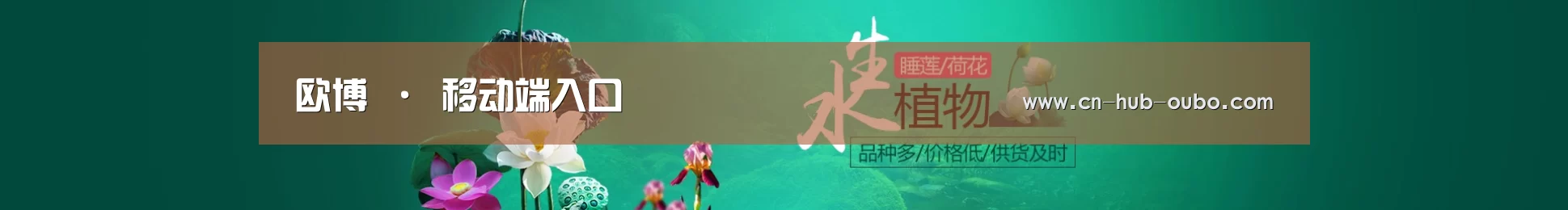 鲜花水草花卉网站模板