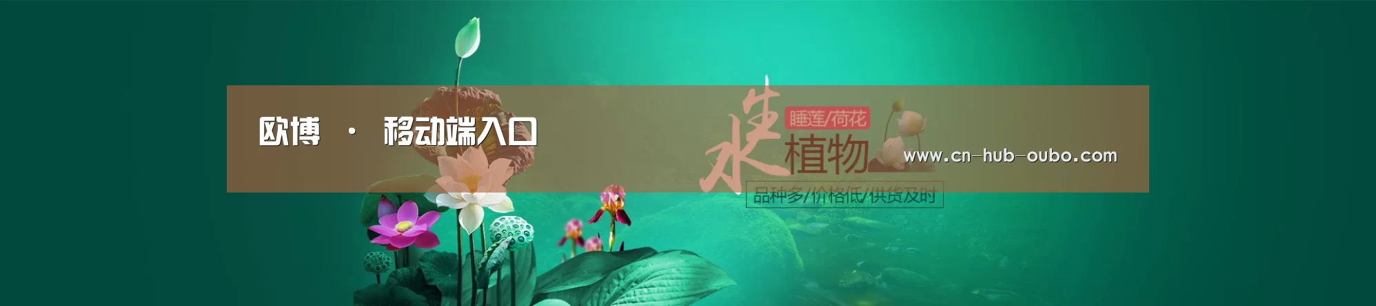 鲜花水草花卉网站模板