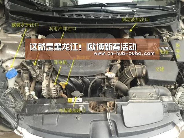 这就是黑龙江!|欧博新春活动(图5) 欧博官网