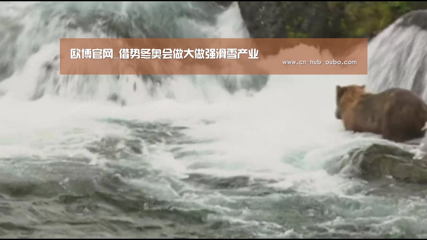 欧博新春活动