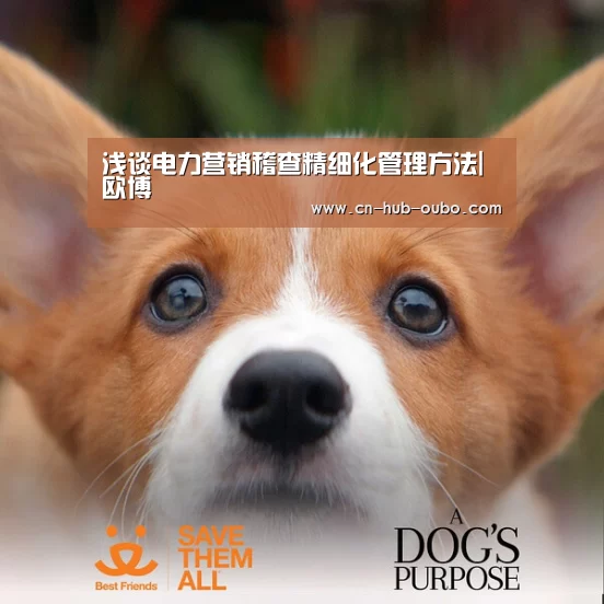 浅谈电力营销稽查精细化管理方法|欧博(图1) 欧博新春活动