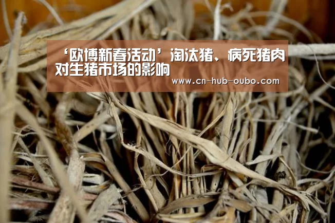 ‘欧博新春活动’淘汰猪、病死猪肉对生猪市场的影响(图1) 欧博游戏